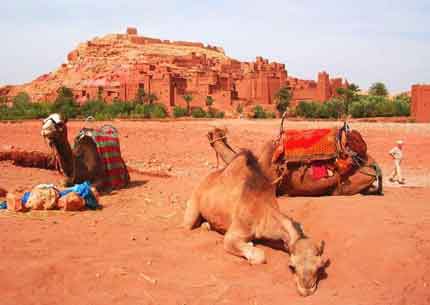 Short Combining Trekking & Desert