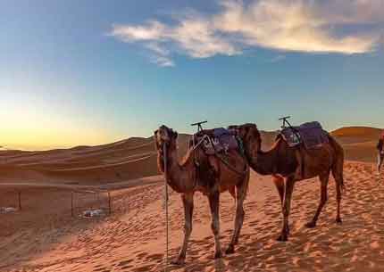 Merzouga Desert 