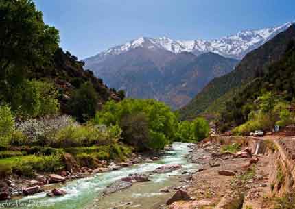 Ourika Valley Day Trip