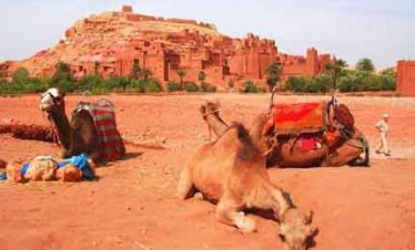 Combining Trekking & Desert
