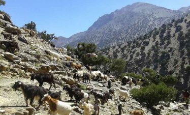 culture-high-atlas-berber-villages-valleys-trek
