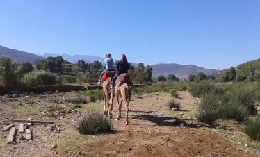 Private Combined Trip